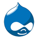 icon drupal Why choose us?